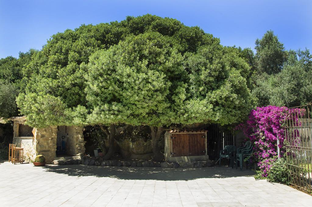 Agriturismo Il Paradiso Iglesias Εξωτερικό φωτογραφία